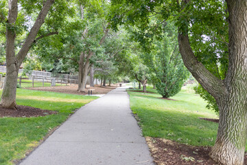 Fototapeta premium path in the park