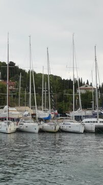 A group of sailboats are docked at a marina. The boats are all white and are lined up in a row. The water is calm and the sky is cloudy