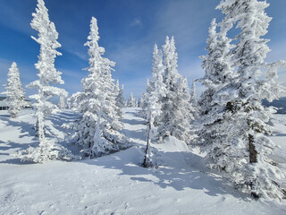 Snowy winter in the ski resort of Sheregesh in Siberia, Russia.