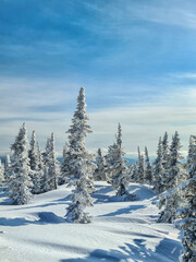 Snowy winter in the ski resort of Sheregesh in Siberia, Russia.