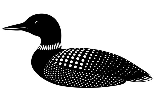 recommend clip art: bird, animal, feather, flying, silhouette, wildlife, wing, beak, drawing, hummingbird, art, cartoon, duck, illustration, wild, black, design, nature, vector, anas platyrhynchos, loon, aquatic, badge, 