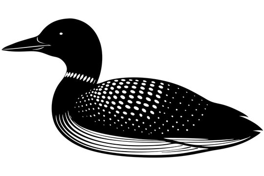 recommend clip art: bird, animal, feather, flying, silhouette, wildlife, wing, beak, drawing, hummingbird, art, cartoon, duck, illustration, wild, black, design, nature, vector, anas platyrhynchos, loon, aquatic, badge, 