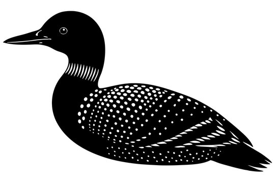 recommend clip art: bird, animal, feather, flying, silhouette, wildlife, wing, beak, drawing, hummingbird, art, cartoon, duck, illustration, wild, black, design, nature, vector, anas platyrhynchos, loon, aquatic, badge, 