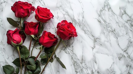 red roses on white marble background, Valentine's Day concept, romantic floral scene