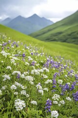 A peaceful hillside coated with vibrant wildflowers, forming a stunning tableau of tranquil beauty and harmony.