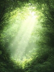 In the heart of the forest, a gentle breeze awakens memories, each one a gem longing to be uncovered anew.