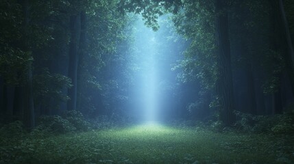 Obraz premium Within a lush grove, a glimmer of light leads wayward travelers to a promising future brimming with possibilities.