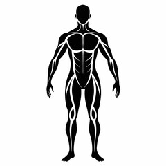 black and white human body details silhouette vector illustration