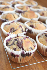 Home Baked Fresh Large Blueberry Muffins in Small Business Kitchen