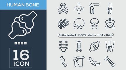 Human Bone  Outline icons collection. Simple vector illustration.	