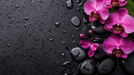 Orchid Flowers on Black Stones With Water Drops