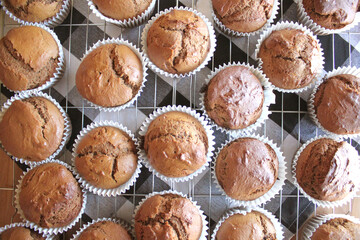 Fresh Baked Homemade Gingerbread Muffins with Buffalo Check and Sunflower Background