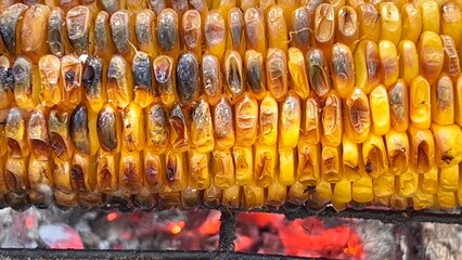 Burnt golden color corn cob fried on a grill or barbecue grate with smoke and flame. Summer weekend...