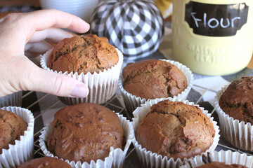 Fresh Baked Homemade Gingerbread Muffins with Buffalo Check and Sunflower Background