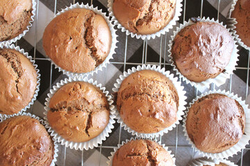 Fresh Baked Homemade Gingerbread Muffins with Buffalo Check and Sunflower Background