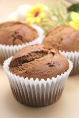 Fresh Baked Homemade Gingerbread Muffins with Buffalo Check and Sunflower Background