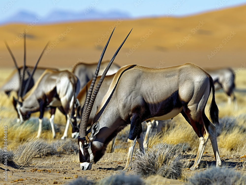 Canvas Prints A herd of animals graze in a desert. The animals are all different sizes and are spread out across the scene