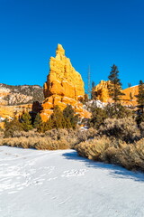 On a snowy day in Red Canyon, Utah-USA
