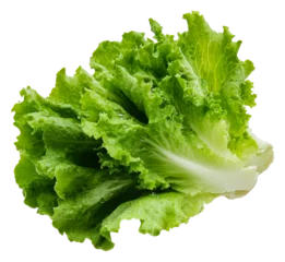 Fotobehang PNG Fresh lettuce head for salad prep © eclipse