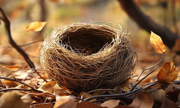 2D cartoon style bird s nest made of dry grass set against a backdrop of brown dry leaves and twigs