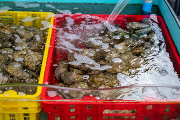 Travelling in France, old wooden huts and oysters farms in Gujan-Mestras village, cultivation and sale of fresh oysters seashells, Arcachon bay, Atlantic ocean, France, tourists destination