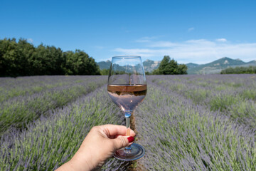 Summer in French Provence, cold gris rose wine from Cotes de Provence and blossoming colorful...