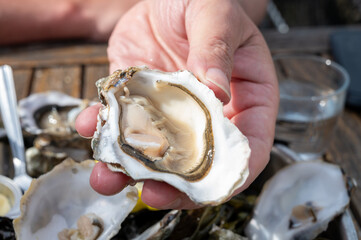 Naklejka premium Eating of fresh live oysters with citron and white wine at farm cafe in oyster-farming village, Arcachon bay, Gujan-Mestras port, Bordeaux, France in sunny day