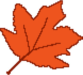 maple leaf, maple tree, maple leaf, red leaf, autumn leaf, fall leaf, color leaf