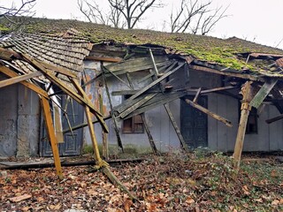 Ruined roof of a dilapidated structure