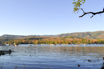 Bass Lake in autumn, near Yosemite. Landscape with water, boats, trees and warm color. Desktop wallpaper.