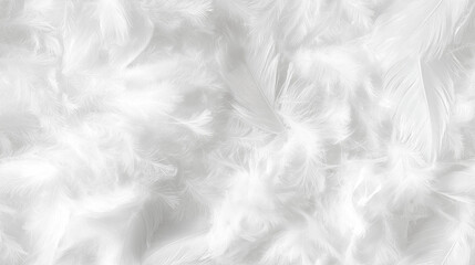 soft down feather texture in pure white