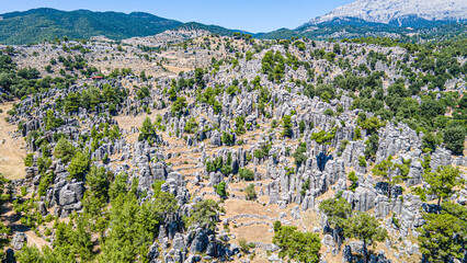 Fototapeta premium The area of conglomerates of rocks surrounding the ancient city of Selge in Antalya. The area called Avatar Land, named Rocks of Man, because it resembles a standing person, creates a fantastic image.