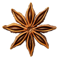 PNG Star anise on a white background