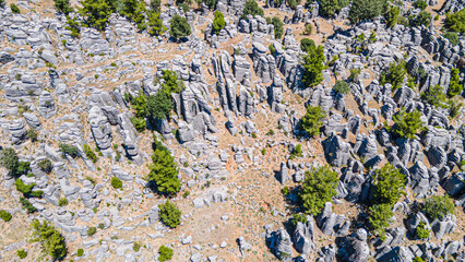 The area of conglomerates of rocks surrounding the ancient city of Selge in Antalya. The area called Avatar Land, named Rocks of Man, because it resembles a standing person, creates a fantastic image.
