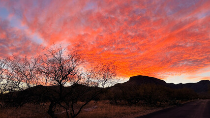 arizona sunset pink-skies with golden arid grass & rock landscape