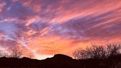arizona sunset pink-skies with golden arid grass & rock landscape