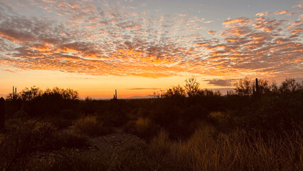 Arizona sunset scattered colorful clouds saguaro cactus and trees