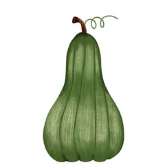 green pumpkin