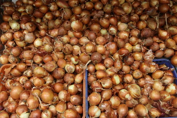 A pile of onions for sale