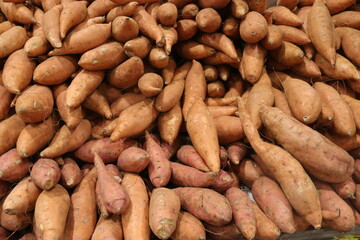 A pile of sweet potatoes for sale