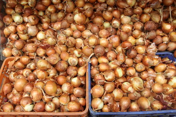 A pile of onions for sale