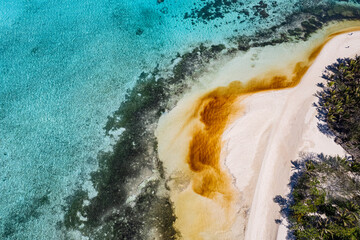 Aerial view of red algae bloom - Red Tide - on coral reef on record hot day in the south Pacific -...
