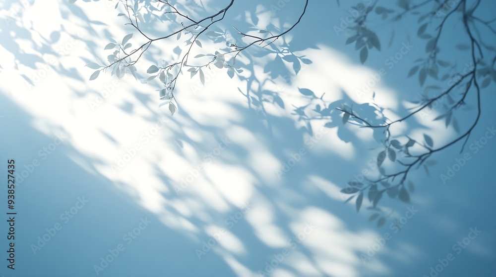 Poster Minimalistic abstract gentle light blue background for product presentation with light and intricate shadow from tree branches on wall : Generative AI