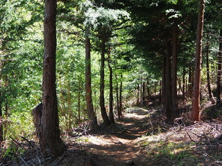 本社カ丸の山道