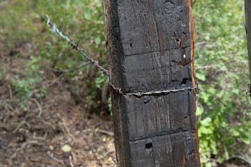 Barbed wire dug into wooden fence post.