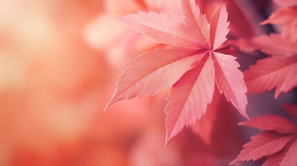 Background from leaves closeup in color Color of the year 2024 Peachy Fuzz Color of the year Fluffy leaves : Generative AI