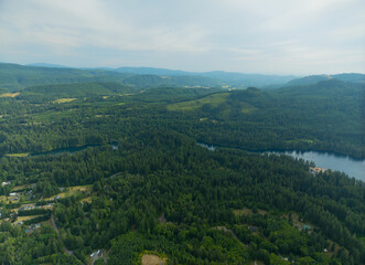 Fototapeta premium A lush green forest with a lake in the background