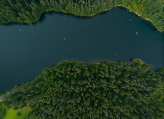 A forest with a lake in the middle