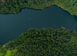 A forest with a lake in the middle