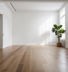 An empty white room with a wooden floor and a potted plant